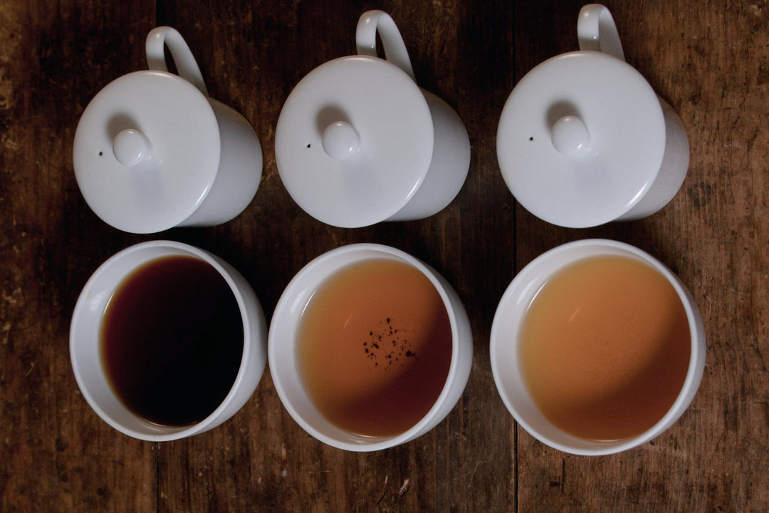 Ceylon-Tee im Vergleich: Die entscheidenden Unterschiede zu Darjeeling, Assam & Co. - Nibelungentee
