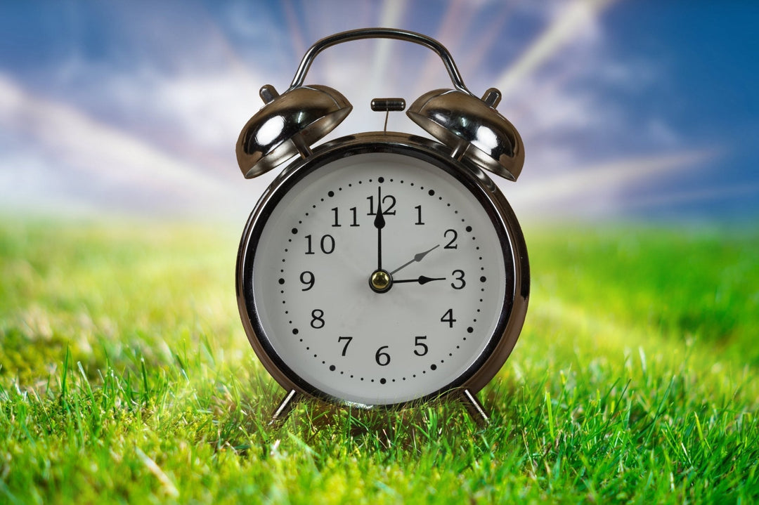 Der Start der Sommerzeit: Eine neue Teesaison beginnt - Nibelungentee