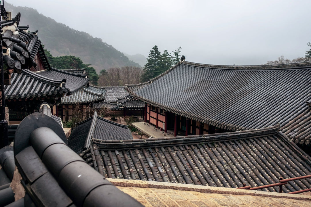 Die Geschichte des koreanischen Tees: Von den Wurzeln bis zur modernen Teekultur - Nibelungentee