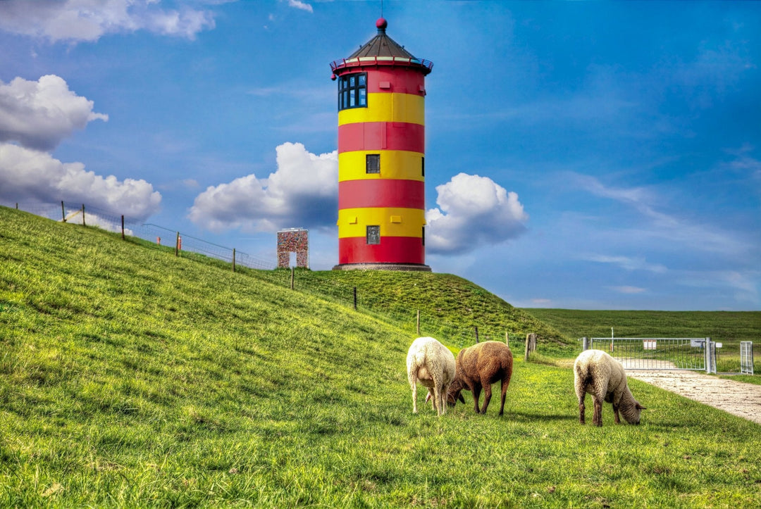 Sind die Ostfriesen wirklich Weltmeister im Teetrinken? - Nibelungentee