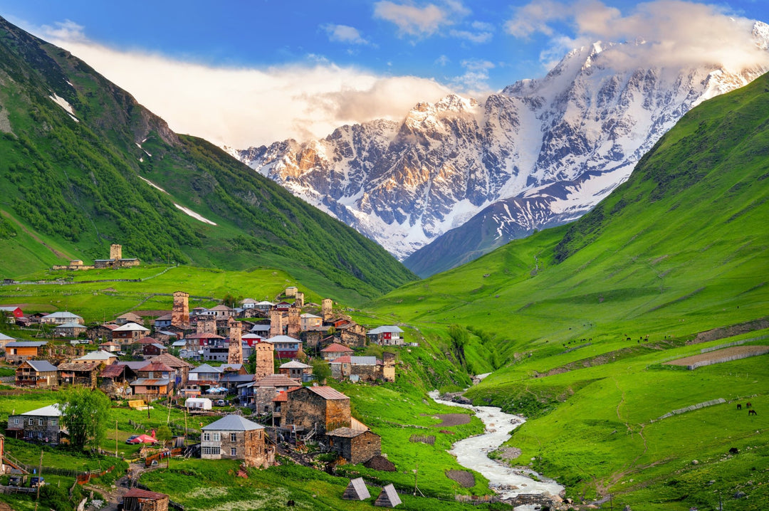 Tee aus Georgien - ein echter Geheimtipp - Nibelungentee