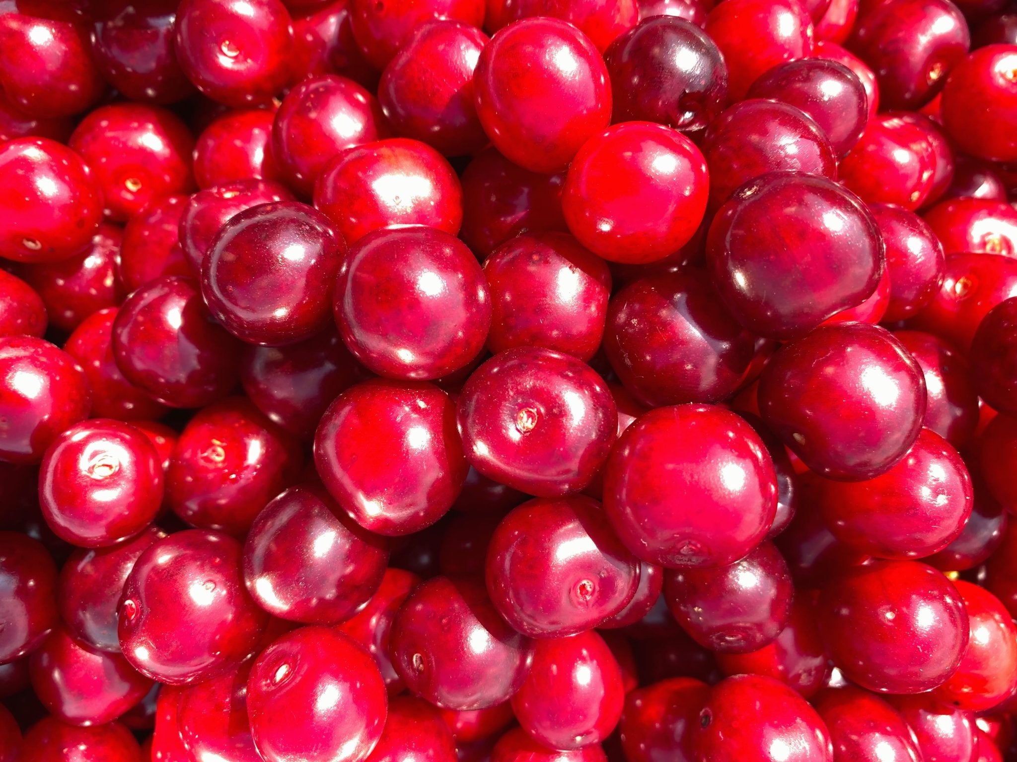 Tee mit Kirsch-Geschmack - Nibelungentee