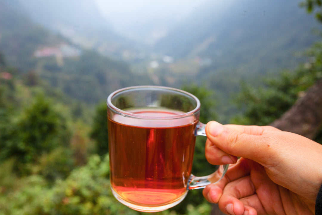 Glastasse mit Tee aus Nepal, im Hintergrund das Himalaya Gebirge