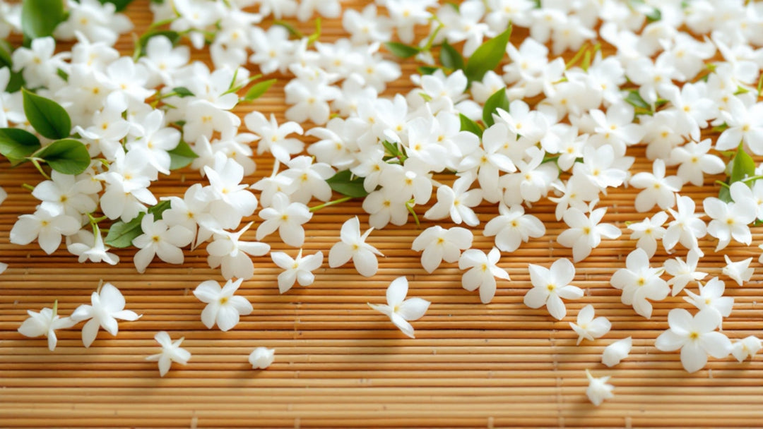 Tee-Zutat: Jasminblüten