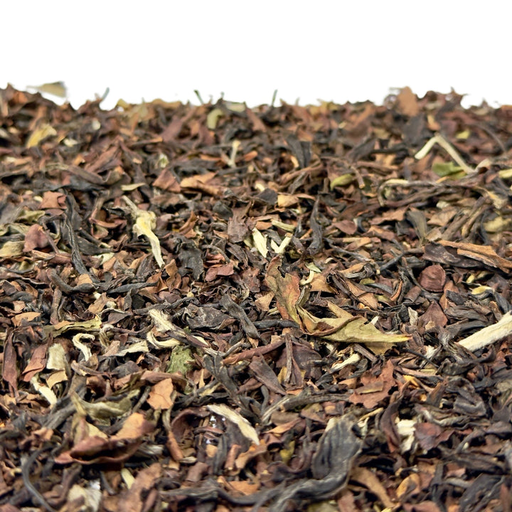 China Oolong High Class Tippy