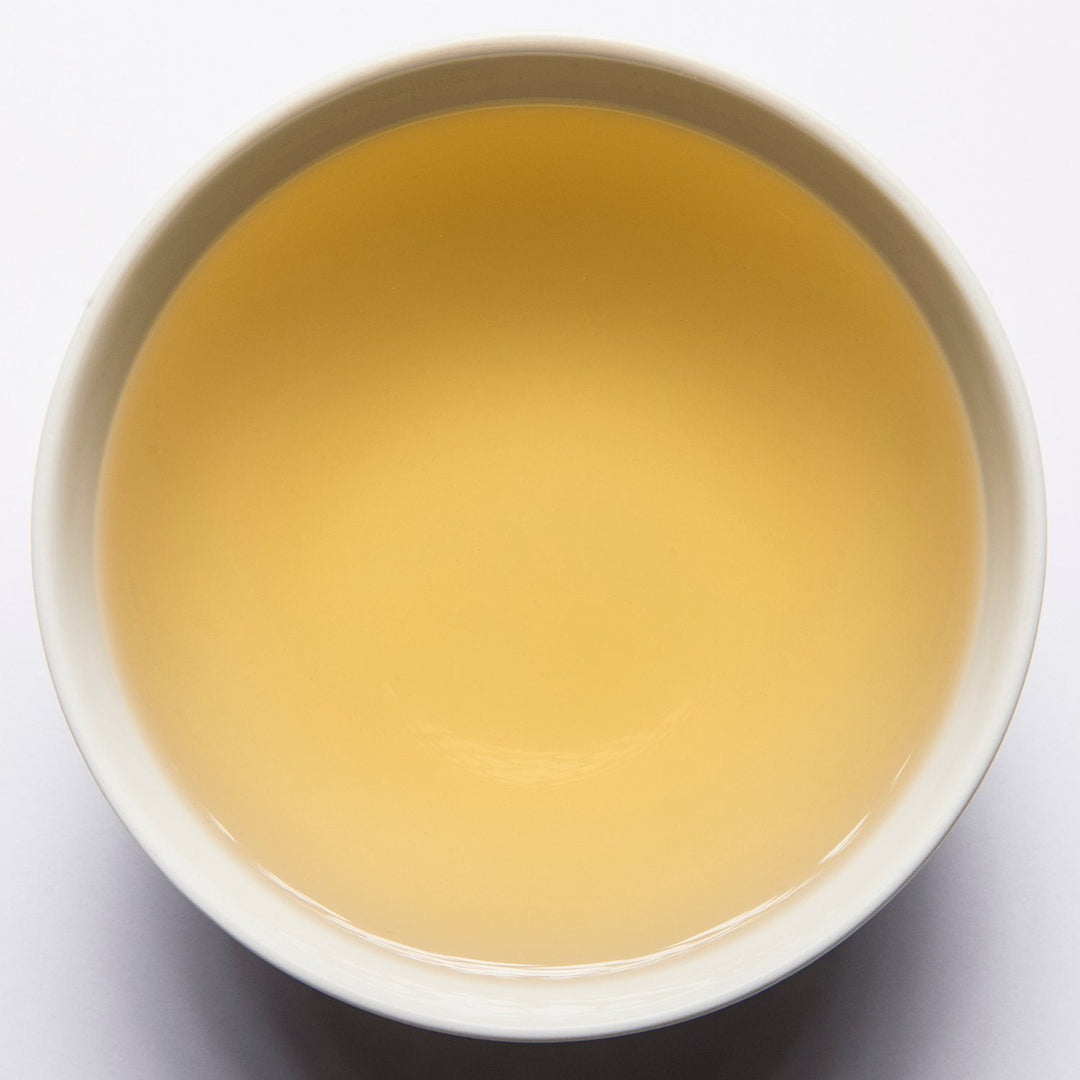 Moringa Zitrone