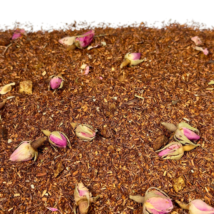 Rotbuschtee Kaktusfeige