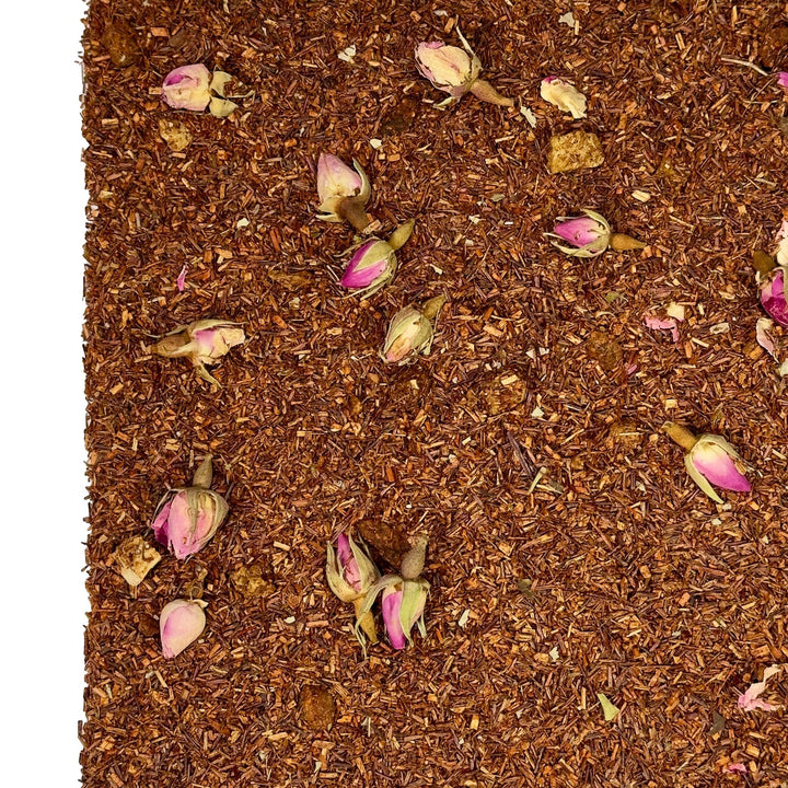 Rotbuschtee Kaktusfeige