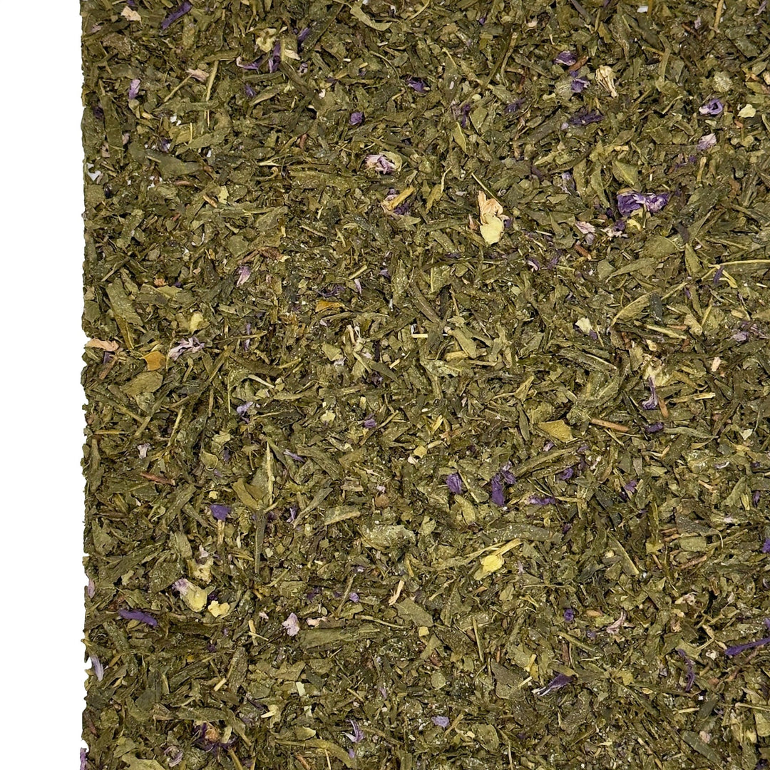 Sencha Kombucha Pflaume