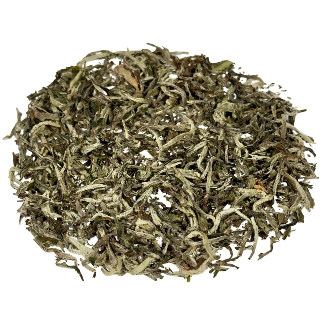 Weißer Tee Nepal Shangri - La Bio