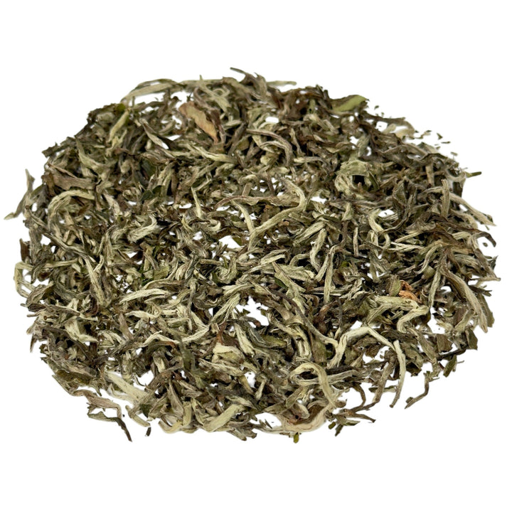 Weißer Tee Nepal Shangri - La Bio